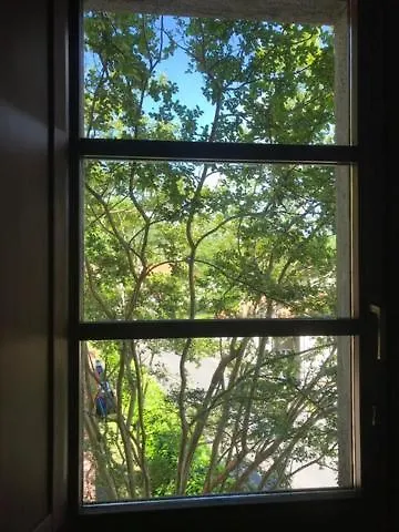 The Gulf Sailor's - Maggiore Monvalle